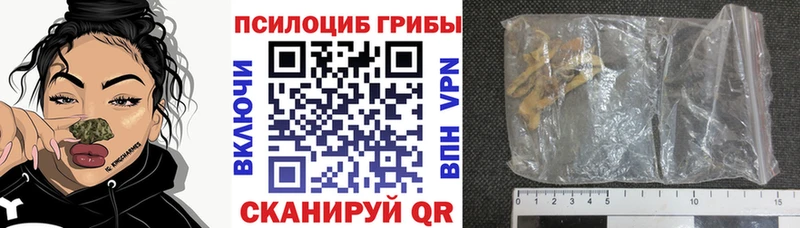 Псилоцибиновые грибы прущие грибы  Купить где  Снежинск 